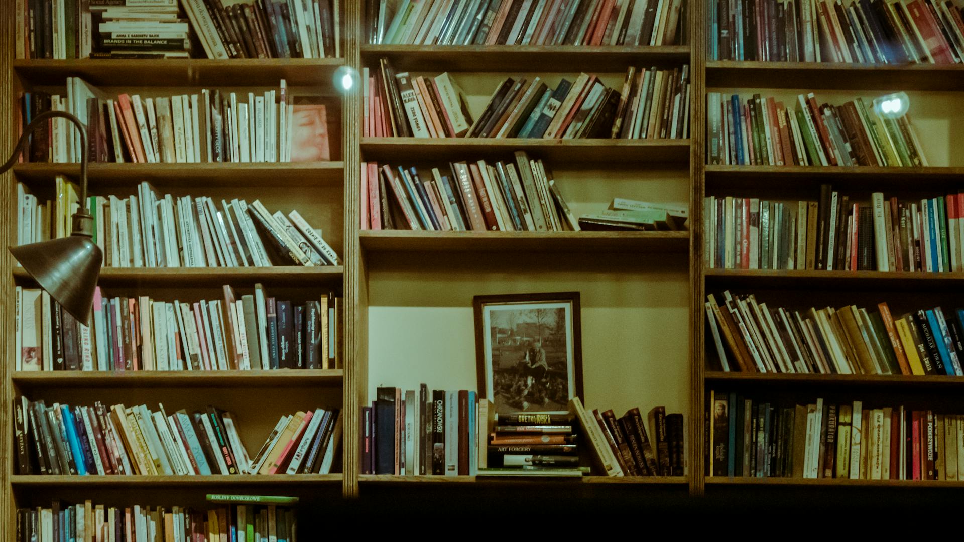 A cozy home library with filled wooden bookshelves and a warm reading lamp.