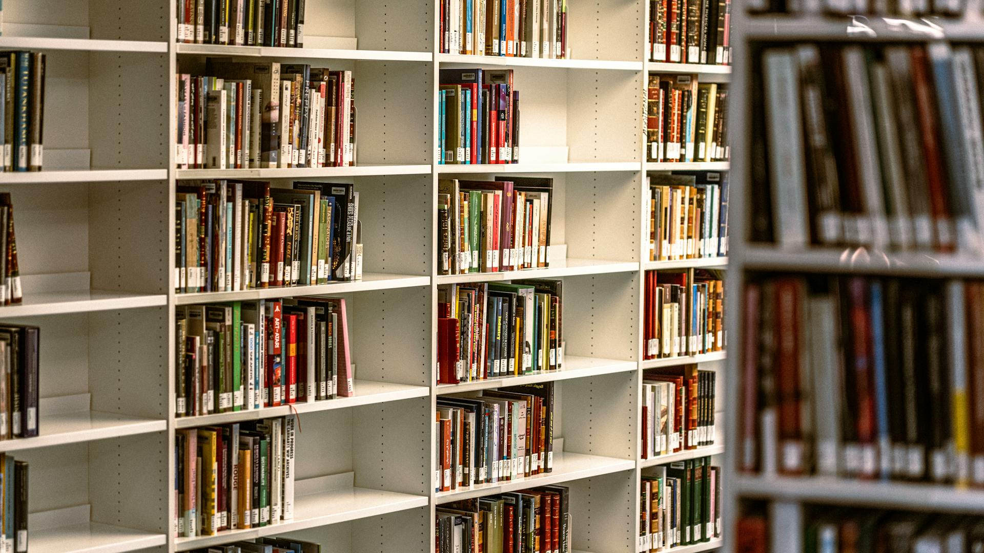 Neatly arranged books on white shelves in a library for easy browsing.