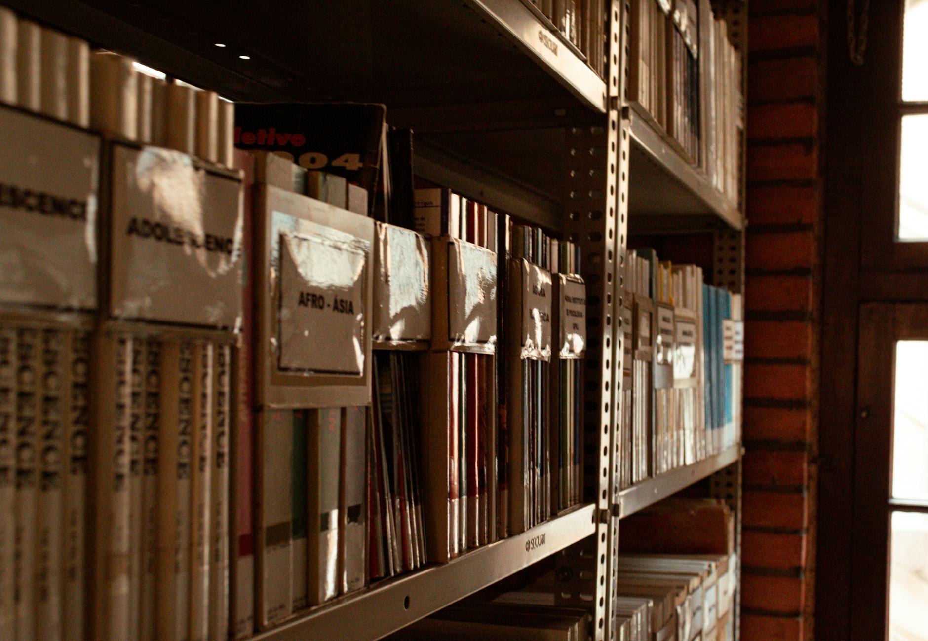 Warm library corner with bookshelves in São Paulo, capturing a serene reading atmosphere.
