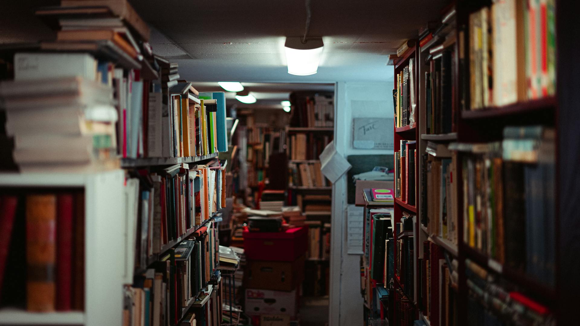 A quaint indoor library aisle stacked with books, creating a warm and inviting academic atmosphere.