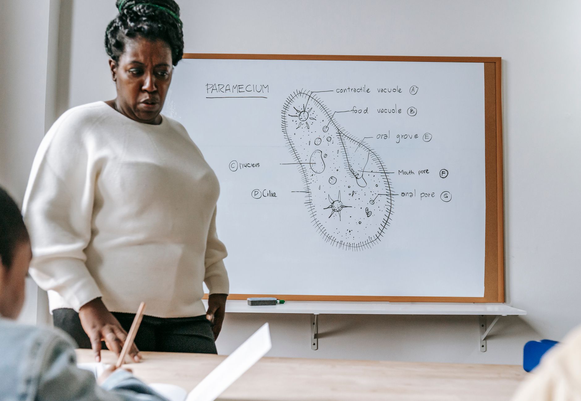 Serious African American female teacher standing near desk and explaining information during biology lesson